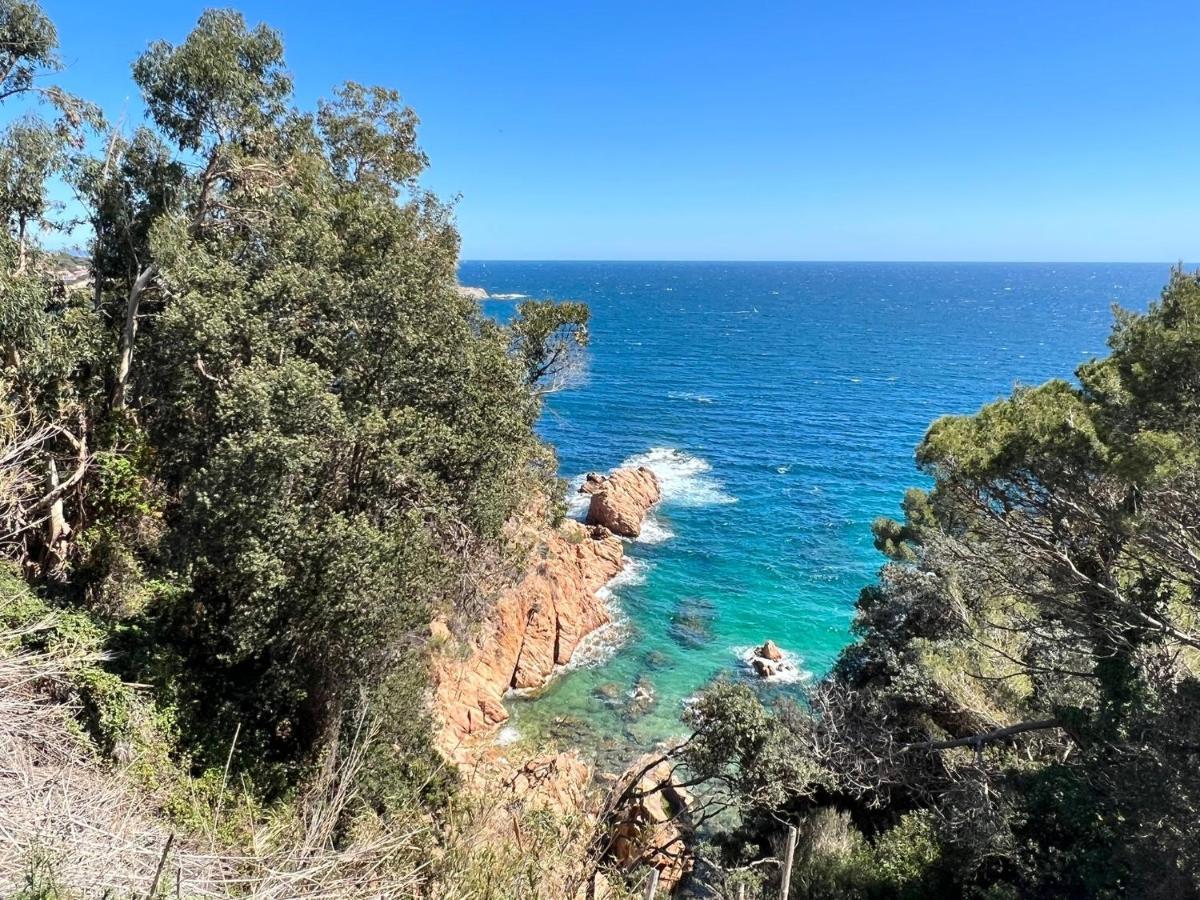 Family B&B Homefromhomees Sant Feliu de Guíxols Exteriör bild