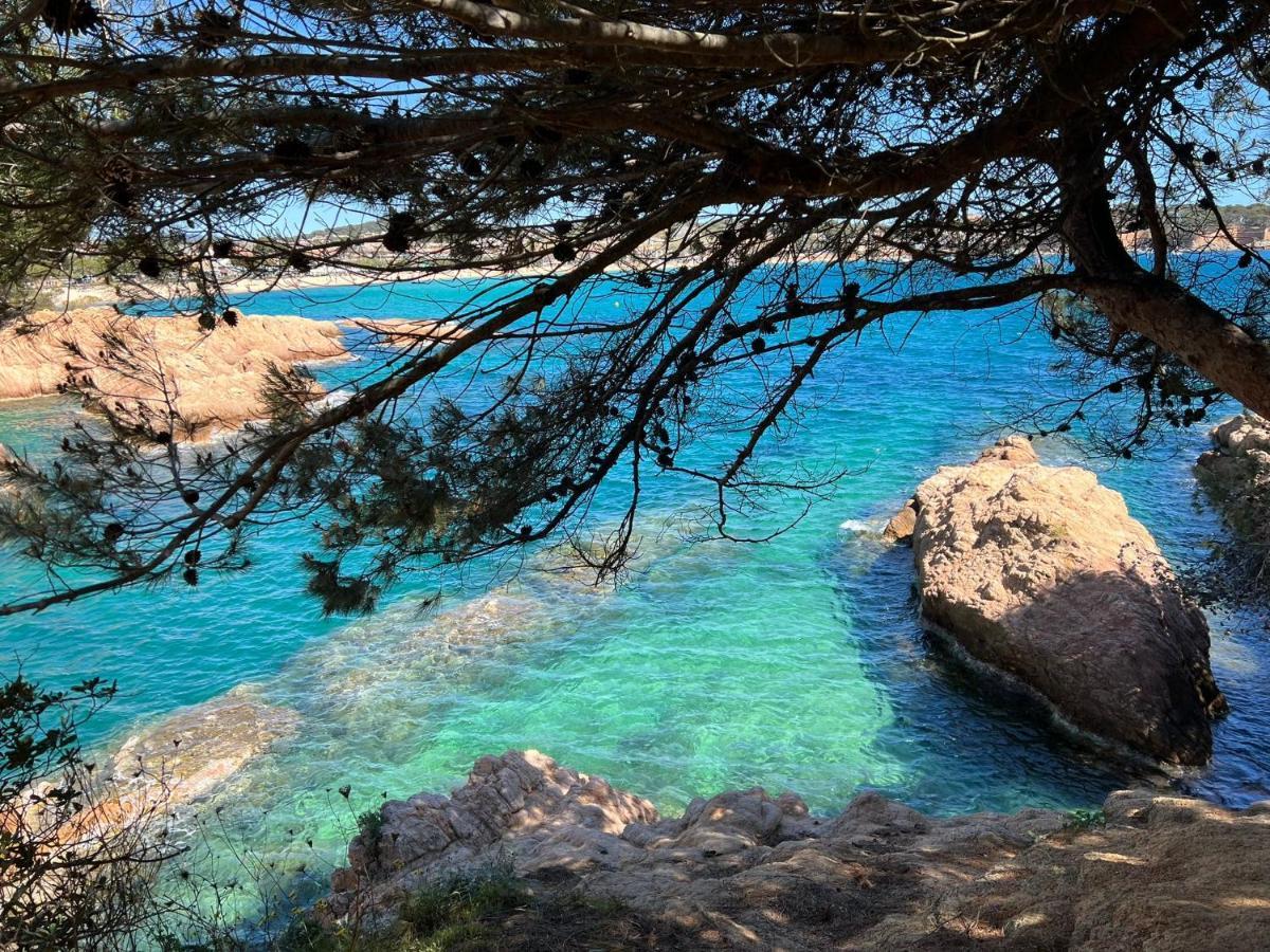 Family B&B Homefromhomees Sant Feliu de Guíxols Exteriör bild